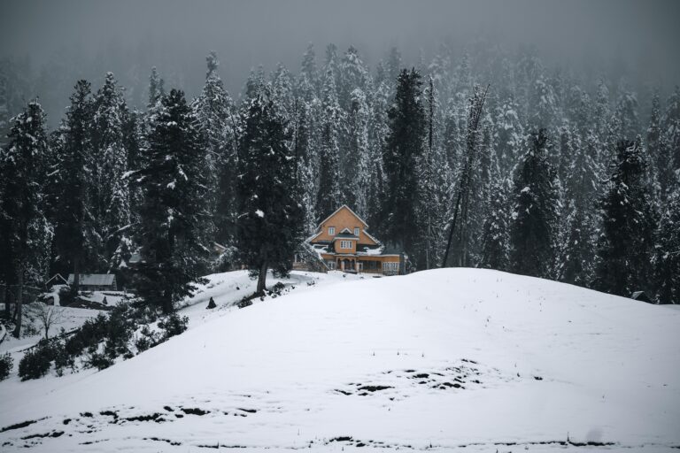 The top Travel Destinations in Jammu and Kashmir ultimate travel guide 2025